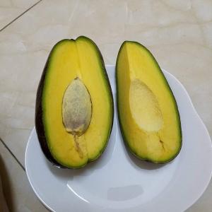 Bơ Cuba Tươi Ngon