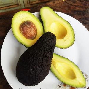 Bơ Pinkerton Chất Lượng Mỹ