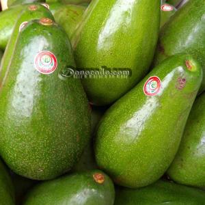 Bơ Mã Dưỡng Sáp Dẻo Thơm Ngon
